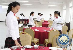 榆林旅游、酒店與職業(yè)教育深度解析 從能源化工到旅游管理，再到電商咨詢